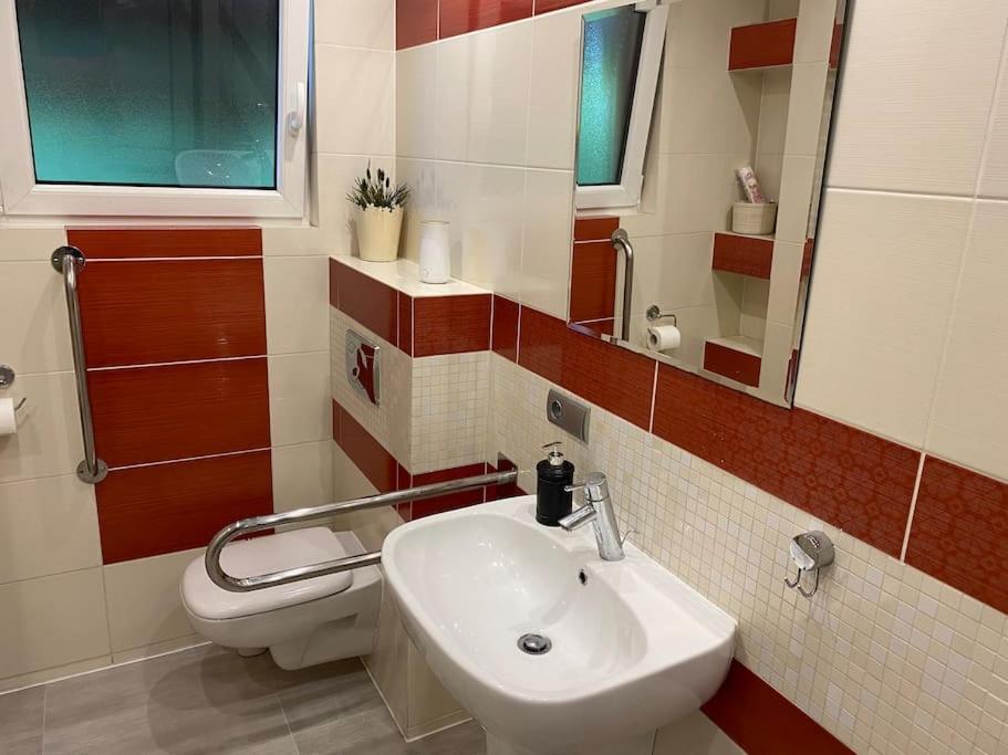 4 Bedroom Family House With Access To A Hot Tub Goczałkowice-Zdrój Екстериор снимка