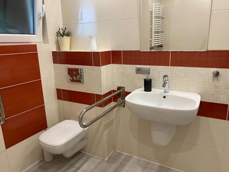4 Bedroom Family House With Access To A Hot Tub Goczałkowice-Zdrój Екстериор снимка