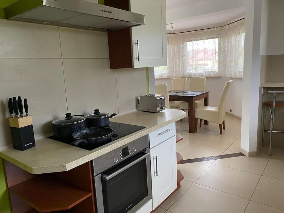 4 Bedroom Family House With Access To A Hot Tub Goczałkowice-Zdrój Екстериор снимка